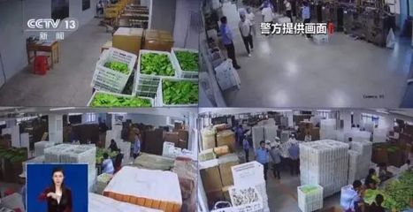 警方破獲億元網紅減肥食品大案，80人落網！