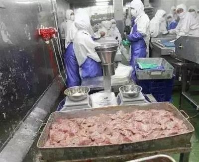 上海法院食品安全典型案例獲國新辦新聞發布會肯定